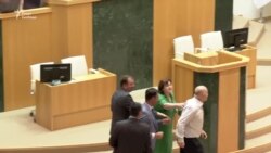 Сергій Гаврилов у парламенті Грузії Сергій Гаврилов у парламенті Грузії