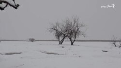 ورښتونو د بلوچستان پښتون مېشته سیمو ته نوې هیلې ورکړي ورښتونو د بلوچستان پښتون مېشته سیمو ته نوې هیلې ورکړي