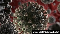 Станом на сьогодні 2 247 людей померли. Одужали 16 415 осіб