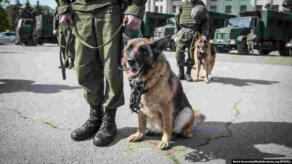 Кінологи із своїми собаками – найкращими фахівцями з пошуку вибухівки