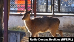 Иллюстративное фото