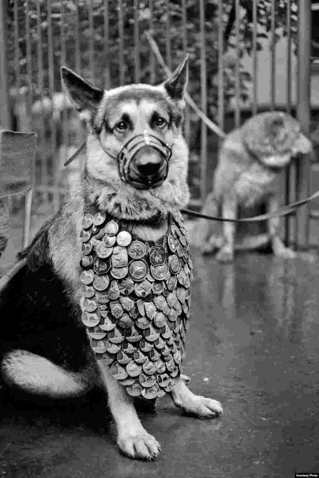 Москва. Птичий рынок на Таганке. 1987 год 