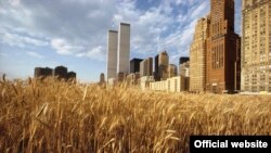 "Феноменология городского пространства". Иллюстрация к докладу в НИИТИАГе