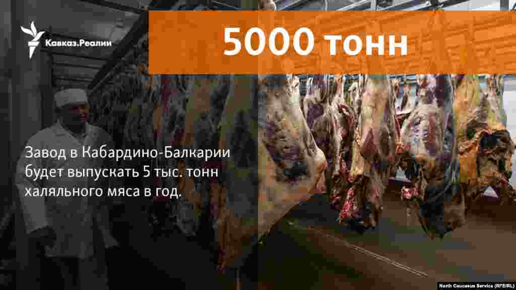 17.10.2017 // Мясоперерабатывающий завод будет открыт в Баксанском районе Кабардино-Балкарии (КБР) до конца года.  