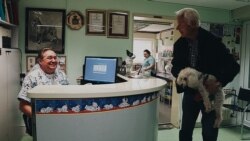 Крунослав Хрвачич у власній ветеринарній клініці