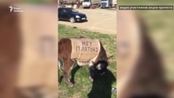 Дальнобойщики Дагестана отказались прекратить забастовку Дальнобойщики Дагестана отказались прекратить забастовку