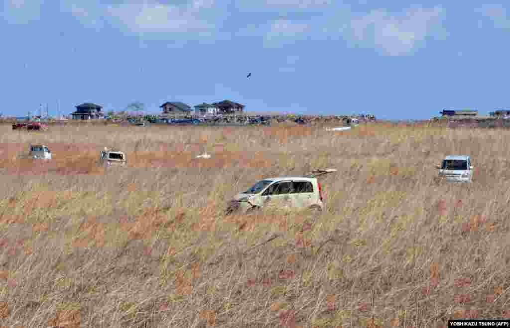 Покинуті серед очеретів побиті автівки, які занесло туди під час цунамі, в Наміе, фото зроблене через два роки після трагедії – 11 березня 2013 року