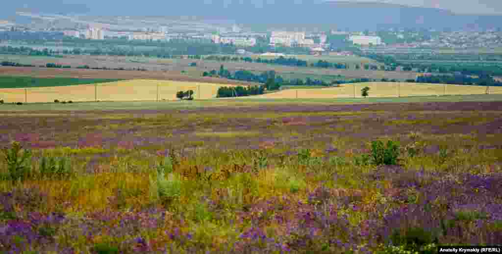 Вдали – жилой массив Бахчисарая