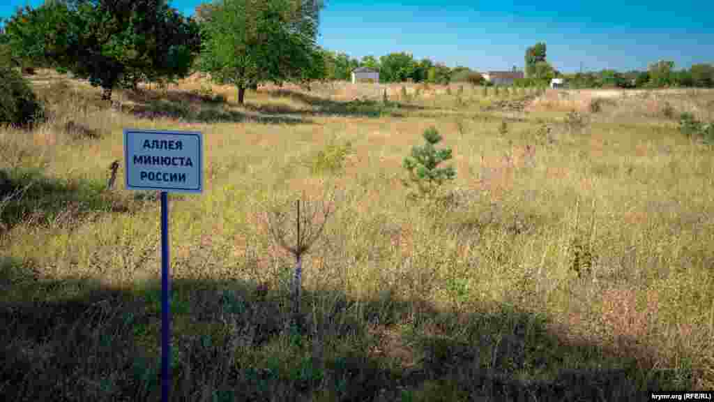 На аллее крымского Минюста, по словам охранников парка, из 13 сосен прижились только 3. Засохли «именные» саженцы и в других местах. До прошлого года охранникам доплачивали за полив парковых деревьев, а с нынешнего года эту доплату отменили