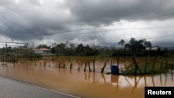 Ямайка. 30-октябрь, 2025-жыл