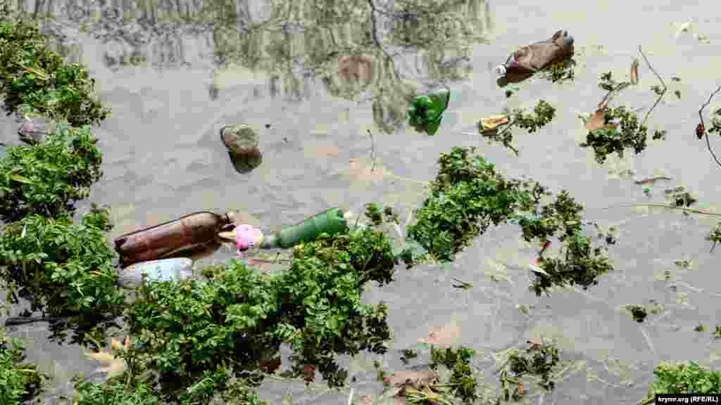 Администрация города рассчитывала начать работы в 2019 году – после освобождения берегов рек от различных не капитальных объектов