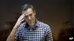 Сама Amnesty International офіційно не коментувала цю заяву