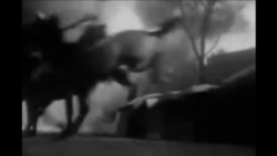 "Северная звезда", перестрелка "Северная звезда", перестрелка