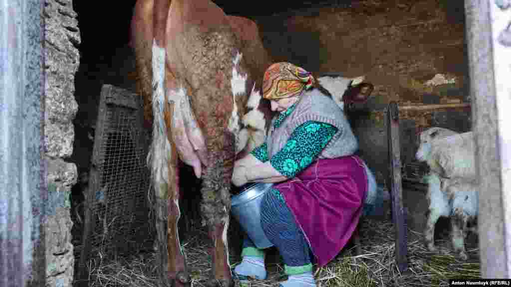 Мама арестованного украинского активиста Владимира Балуха в крымском селе Серебрянка, 17 мая 2017 года Владимир Балух – активист, с конца 2013-го над его домом развевался украинский флаг, который силовики снимали во время каждого обыска. Уже в 2016-ом на стене дома появилась памятная табличка «Героев Небесной сотни». Балуха арестовали, уже полгода он находится в СИЗО.