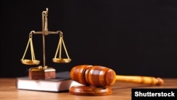 В 51% постановлений (718) речь идет о женщинах, в 49% (678) – о мужчинах