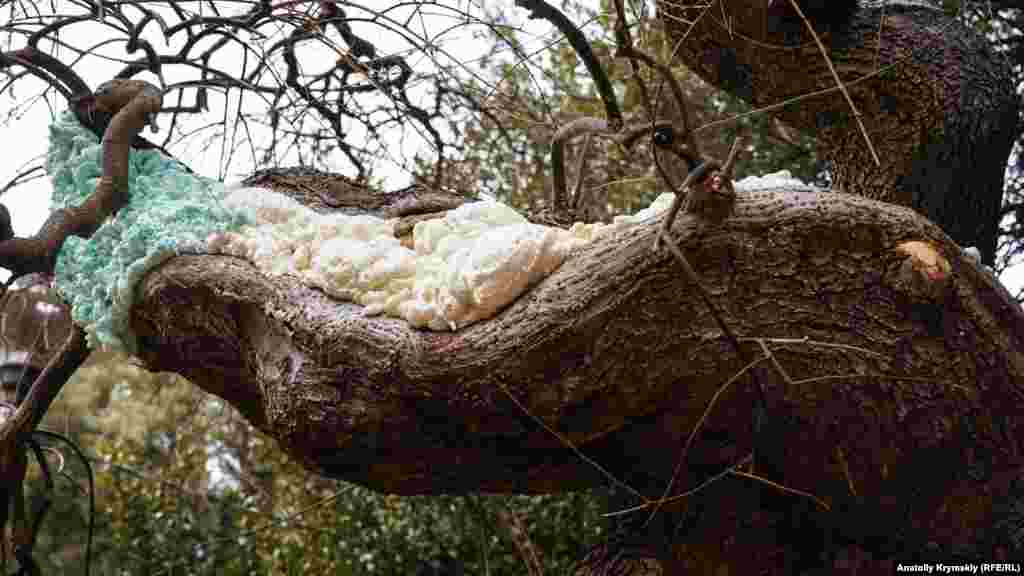 Дупла на старых софорах в парке «дешево и сердито» запломбировали обычной монтажной пеной