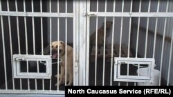 Иллюстративное фото