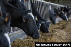 Ферма на сході Франції