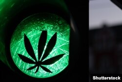 Zeleno svjetlo za kanabis u medicinske svrhe čeka donošenje zakona