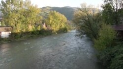 Координатор лісових проектів Всесвітнього фонду природи (WWF) Роман Волосянчук Координатор лісових проектів Всесвітнього фонду природи (WWF) Роман Волосянчук