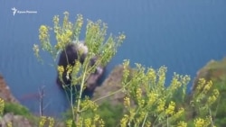 Красочная палитра Кара-Дага (видео) Красочная палитра Кара-Дага (видео)