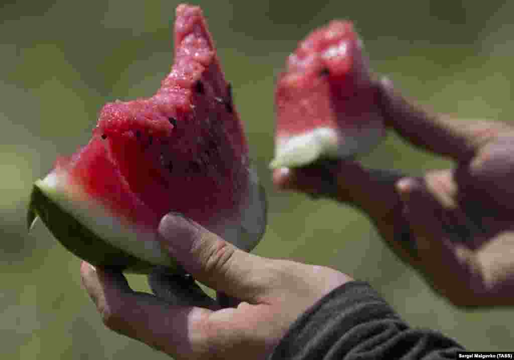 Правда, первые арбузы появились на прилавках еще в июле – это привозные культуры