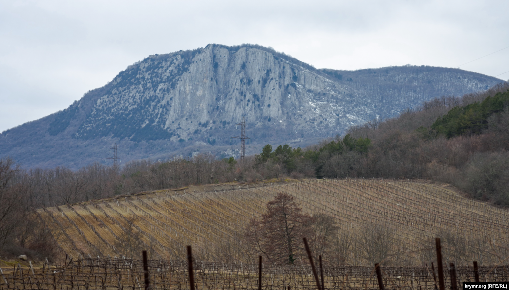 Гора Парагильмен во всей красе. Это самый высокий известняковый отторженец Главной гряды, высотой 857 метров над уровнем моря. На Парагильмене произрастает около 30 видов деревьев и кустарников, 10 из них занесены в Красную книгу Украины. Достопримечательностью Парагильмена являются два больших тиса на вершине горы