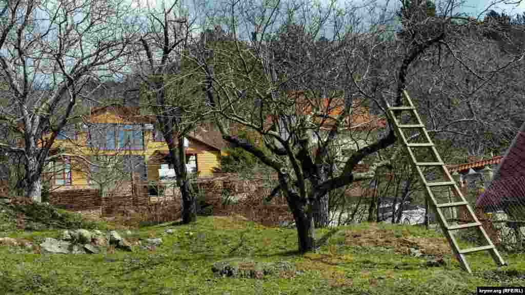 Старый фруктовый сад перед новыми коттеджами 