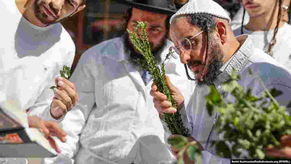Після молитви усі нюхають пахуче зілля, яке складається з різних трав і рослин, привезених з Ізраїлю – мирту, м’яти, ялини, сосни тощо