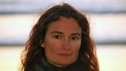 Война и поэзия Война и поэзия