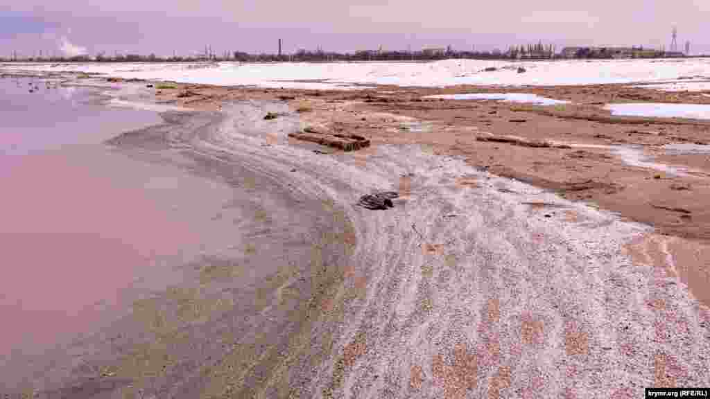 Солевые разводы на озерном берегу. Вдали – село Прибрежное
