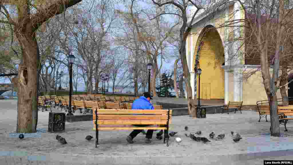 Мужчина кормит голубей у летней эстрады «Ракушка»