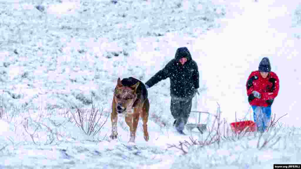 Дети на заснеженном холме близ заповедника «Неаполь Скифский»