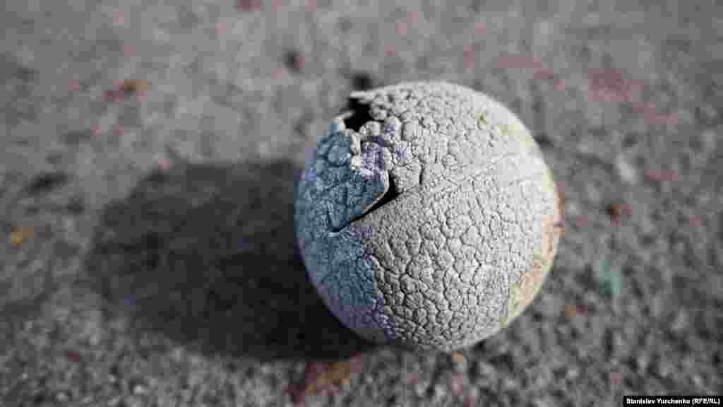 Дітям в’їзд до Чорнобильської зони заборонений назавжди