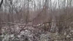 Такую землю предлагают многодетным в Хабаровске Такую землю предлагают многодетным в Хабаровске