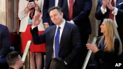 Ілон Маск заявив, що планує витрачати один-два дні на тиждень на урядові проблеми