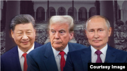 Си Цзиньпин, Дональд Трамп, Владимир Путин. Коллаж