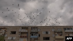 За даними військових, сили РФ активізували наступ в бік Іванівки на Добропільському напрямку 