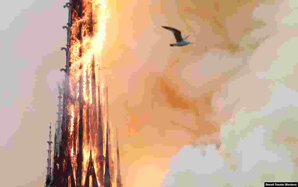 К 20:30 у собора рухнул шпиль. Чуть позже - кровля. К зданию стянуты несколько сотен пожарных и представителей других городских служб.