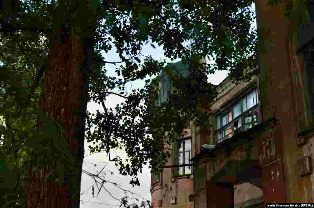 Век дома №100 на Комсомольской закончился бы бесславно, если бы не предприниматель Виталий Сидько, который осенью 2016 года выиграл аукцион "СтавКрайИмущества". По предварительным оценкам, на реставрацию дома понадобится 32 миллиона рублей. Поэтому арендатор будет платить за него городу символические 9 тысяч рублей в год. Аренда рассчитана на 49 лет