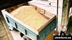 Иллюстрационное фото