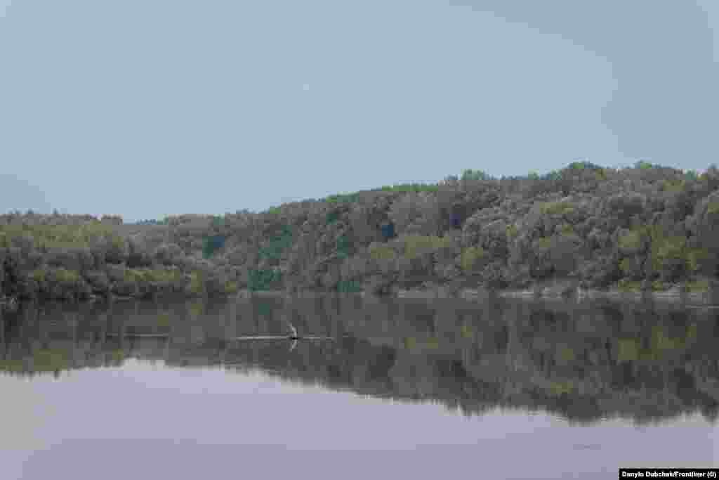 Десна вже без мору риби у межах села Ладинка Чернігівської області  