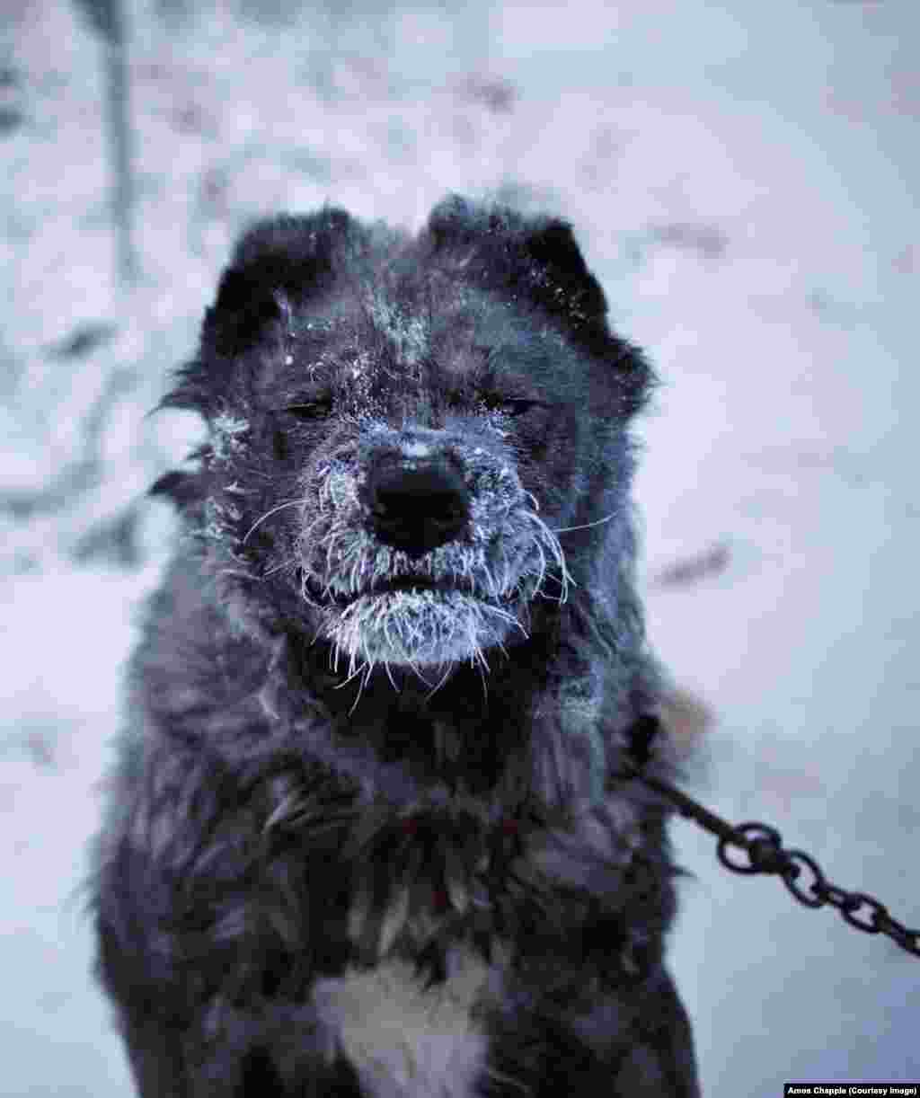 ...хотя некоторым очень не нравится проводить ночи на улице. 