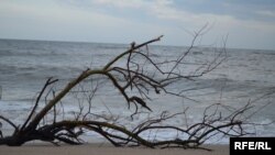 Ілюстраційне фото. Азовське море