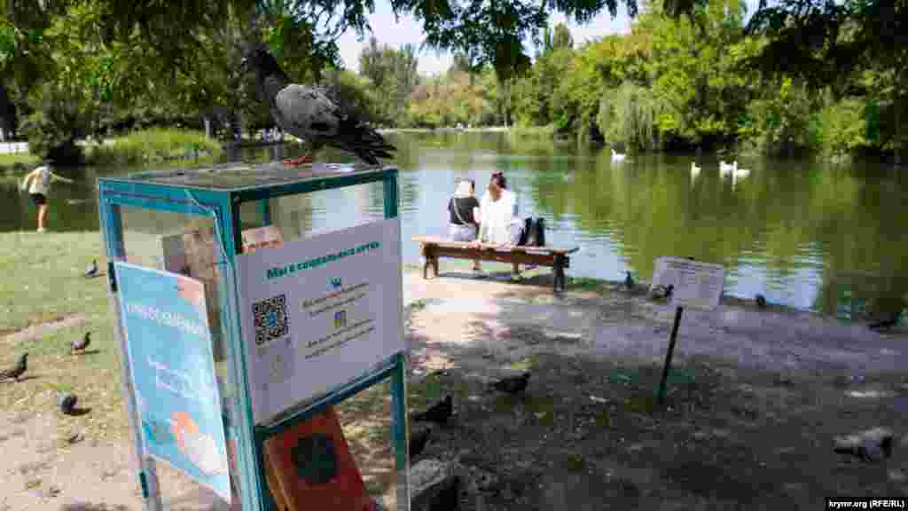 Голубь «на страже» книгообменника на берегу паркового пруда