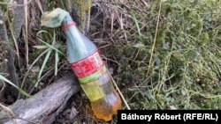 Иллюстрационное фото