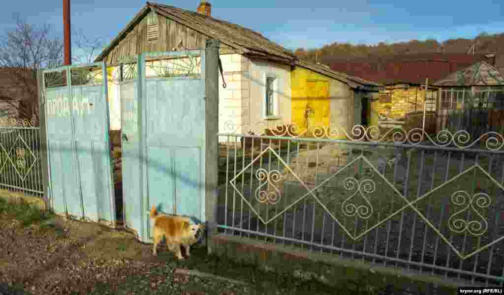 Злой «охранник» старой сельской усадьбы, которая выставлена на продажу