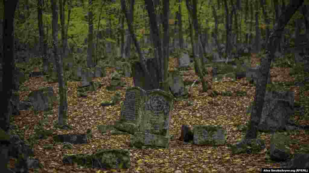 У караимов существовал культ священных дубов: их нельзя было рубить ни при каких обстоятельствах