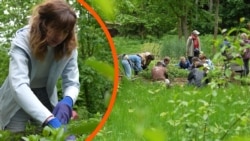 «Частина Донбасу у Львові»: переселенка підтримала екопростір у Львові замість відбудови власних теплиць (відео) «Частина Донбасу у Львові»: переселенка підтримала екопростір у Львові замість відбудови власних теплиць (відео)