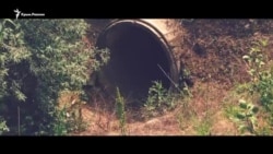 Крымская засуха уничтожает урожай (видео) Крымская засуха уничтожает урожай (видео)